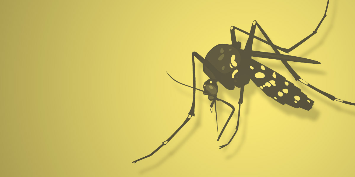 kasus-malaria-di-kokonao-dilaporkan-turun
